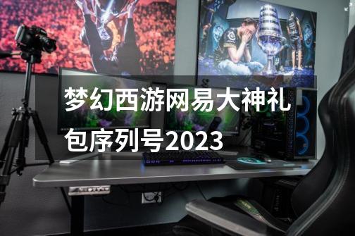 梦幻西游网易大神礼包序列号2023-第1张-游戏资讯-一震网