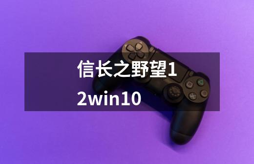 信长之野望12win10-第1张-游戏资讯-一震网