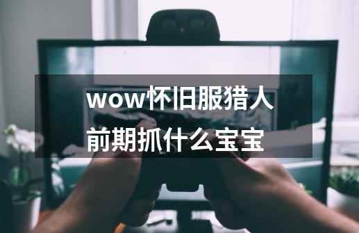 wow怀旧服猎人前期抓什么宝宝-第1张-游戏资讯-一震网