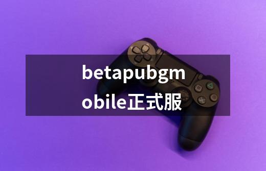 betapubgmobile正式服-第1张-游戏资讯-一震网