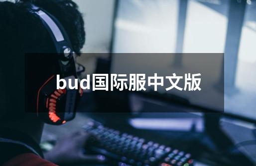 bud国际服中文版-第1张-游戏资讯-一震网