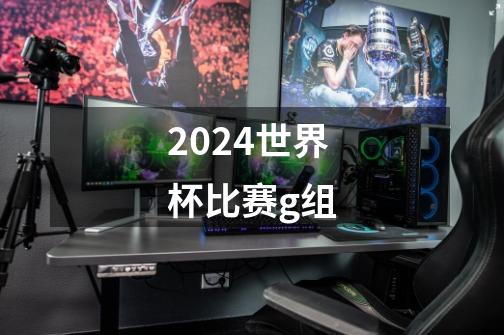 2024世界杯比赛g组-第1张-游戏资讯-一震网