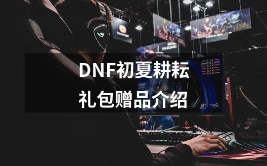 DNF初夏耕耘礼包赠品介绍-第1张-游戏资讯-一震网