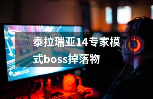 泰拉瑞亚14专家模式boss掉落物-第1张-游戏资讯-一震网