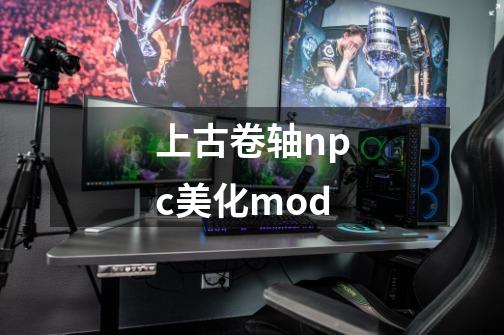 上古卷轴npc美化mod-第1张-游戏资讯-一震网