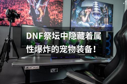 DNF祭坛中隐藏着属性爆炸的宠物装备！-第1张-游戏资讯-一震网