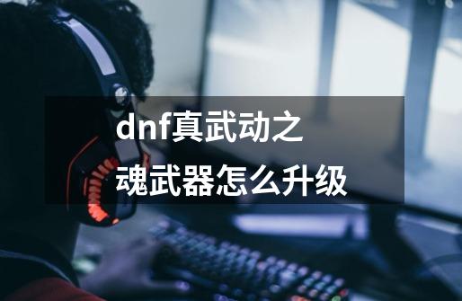 dnf真武动之魂武器怎么升级-第1张-游戏资讯-一震网