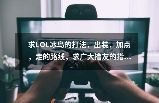 求LOL冰鸟的打法，出装，加点，走的路线，求广大撸友的指点！,英雄联盟冰鸟出装-第1张-游戏资讯-一震网