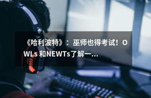 《哈利波特》：巫师也得考试！OWLs 和NEWTs了解一下-第1张-游戏资讯-一震网