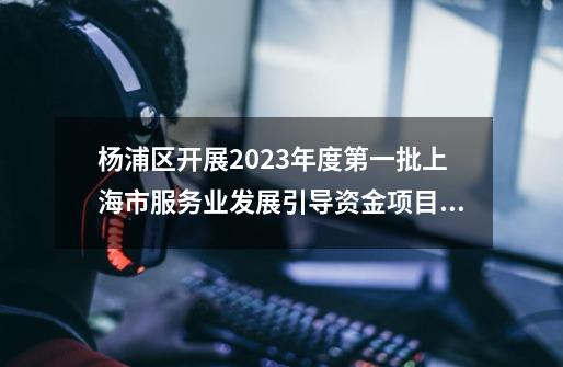 杨浦区开展2023年度第一批上海市服务业发展引导资金项目申报！详情→-第1张-游戏资讯-一震网