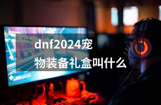 dnf2024宠物装备礼盒叫什么-第1张-游戏资讯-一震网