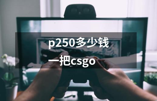 p250多少钱一把csgo-第1张-游戏资讯-一震网