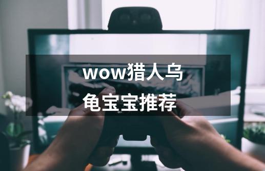 wow猎人乌龟宝宝推荐-第1张-游戏资讯-一震网