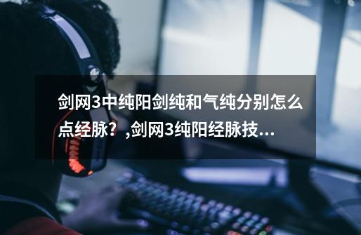 剑网3中纯阳剑纯和气纯分别怎么点经脉？,剑网3纯阳经脉技能-第1张-游戏资讯-一震网