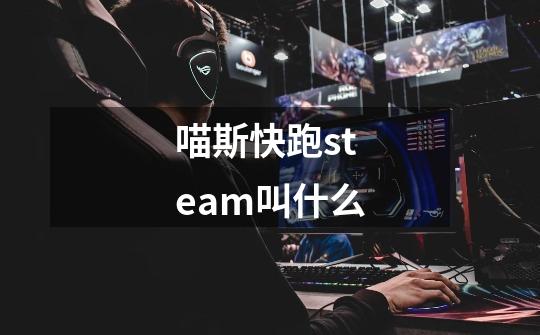 喵斯快跑steam叫什么-第1张-游戏资讯-一震网