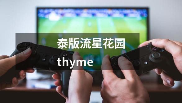 泰版流星花园thyme-第1张-游戏资讯-一震网