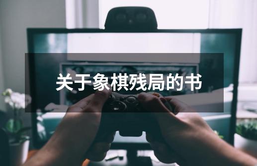 关于象棋残局的书-第1张-游戏资讯-一震网