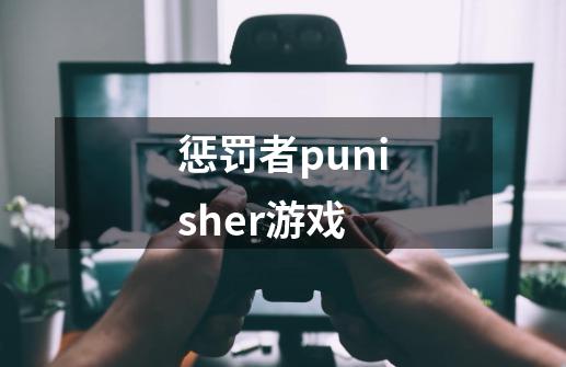 惩罚者punisher游戏-第1张-游戏资讯-一震网