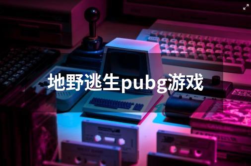 地野逃生pubg游戏-第1张-游戏资讯-一震网