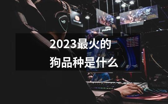 2023最火的狗品种是什么-第1张-游戏资讯-一震网