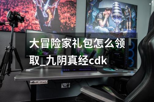 大冒险家礼包怎么领取_九阴真经cdk-第1张-游戏资讯-一震网