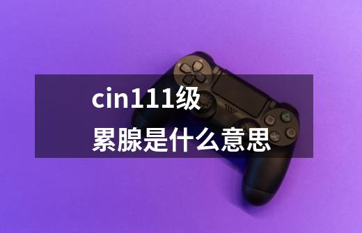 cin111级累腺是什么意思-第1张-游戏资讯-一震网