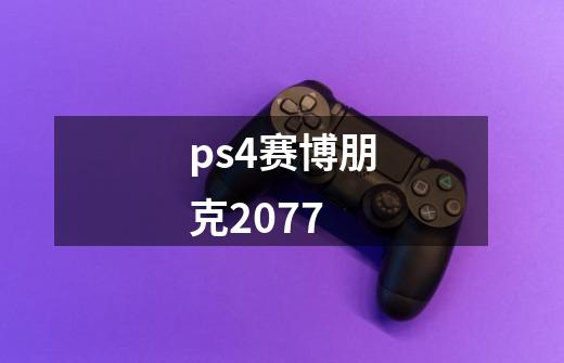 ps4赛博朋克2077-第1张-游戏资讯-一震网