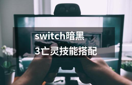 switch暗黑3亡灵技能搭配-第1张-游戏资讯-一震网