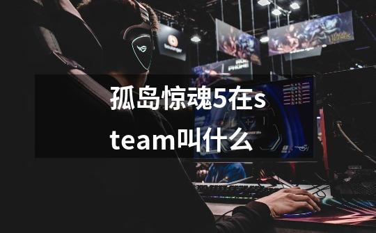 孤岛惊魂5在steam叫什么-第1张-游戏资讯-一震网