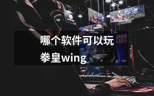 哪个软件可以玩拳皇wing-第1张-游戏资讯-一震网